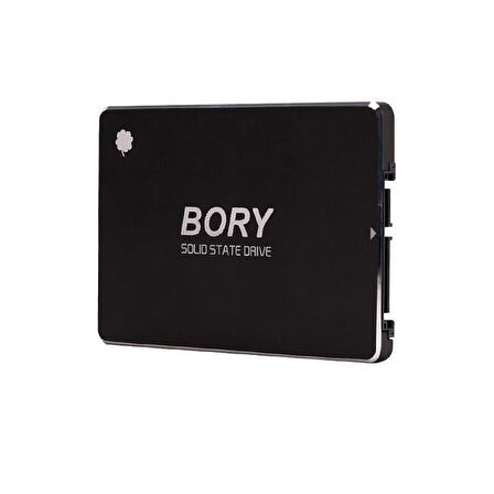 512 GB BORY SATA3 R500-C512G SSD 550/510 MBS (3 YIL GARANTİLİ)