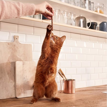 GimCat Sticks Kuzu Etli Tavuklu Kedi Ödül Çubukları 50gr (10'lu)