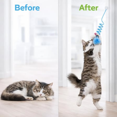 Yaylı Kedi Oyuncağı Tekli İnteraktif Toplu Kedi Oyuncağı Her Yere Asılabilir Asorti Renk Gönderim