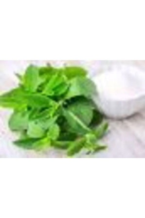 Mega Eko Paket 1000 Adet Tohum Stevia Tohumu Şekerotu Tohumu Şeker Otu Tohumu
