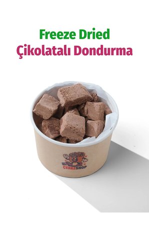 Freeze Dried Çikolatalı Küp Dondurma Dondurularak Kurutulmuş Tatlı 55 Gr