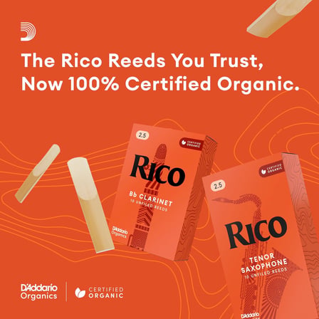 Rico by Eb-Altsaksafon Yapıcı | Yüksek Hassas Üretim | Kalınlık 1,5 | 3'lü Paket | Sıcak Tam Ses | Hoş Oyun hissi