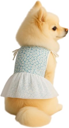 Kedi ve Köpek Kıyafeti &amp; Elbisesi Beyaz Tüllü Elbise S