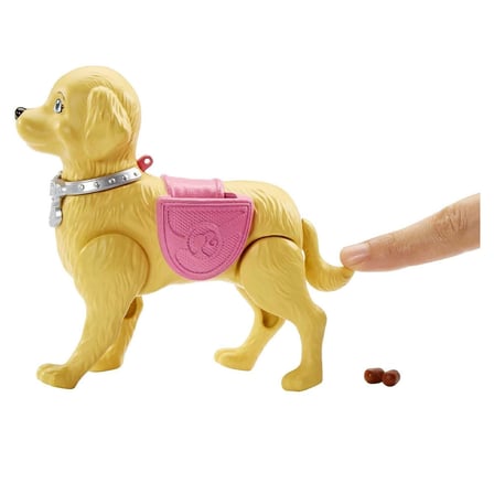 Barbie ve Tuvalet Eğitimindeki Köpeği DWJ68