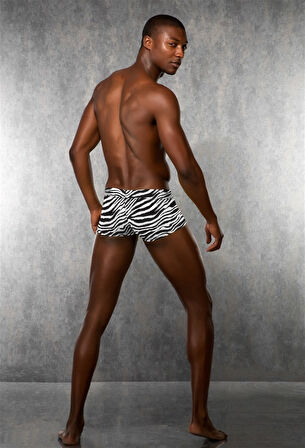 Doreanse Zebra Desenli Erkek Boxer 1795