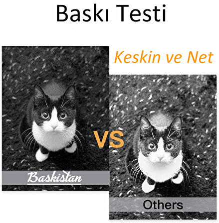 HP CF259X (59X) Siyah Yüksek Kapasite Muadil Toner