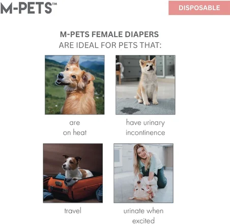 DIAPERS DİŞİ KÖPEKLER İÇİN KÜLOT (XS) 10LU