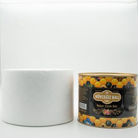 Köyceğiz Balı Bahar Çiçek Balı 2850 G Teneke