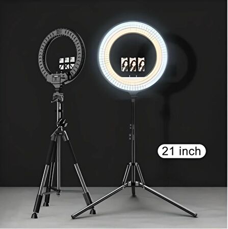  Ring Light LED Işık Halkası 21 Inç 54 cm Profesyonel Stüdyo Işığı ve 210 cm Döküm Ayak Kumanda Çanta Influencer Kuaför Makyaj Işığı Tattoo Ve Canlı Yayın Işığı