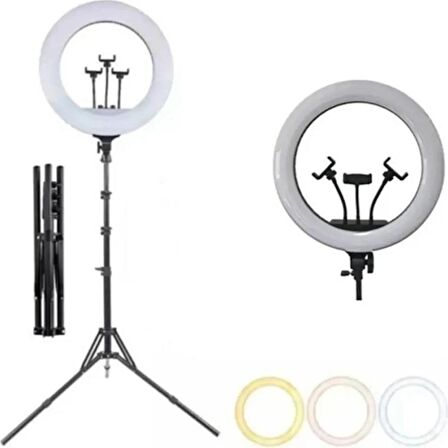  Ring Light LED Işık Halkası 21 Inç 54 cm Profesyonel Stüdyo Işığı ve 210 cm Döküm Ayak Kumanda Çanta Influencer Kuaför Makyaj Işığı Tattoo Ve Canlı Yayın Işığı