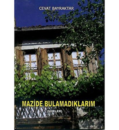 Mazide Bulamadıklarım