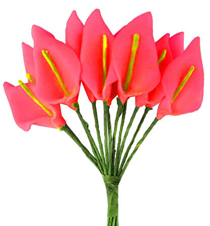 ÇİÇEK GALA KIRMIZI 1 PAKET