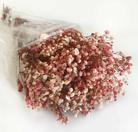 ÇİÇEK DOĞAL CİPSO 50 GR KIRMIZI 1 PAKET