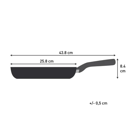 Tefal Expertise+ 5X Tava - 24 Cm