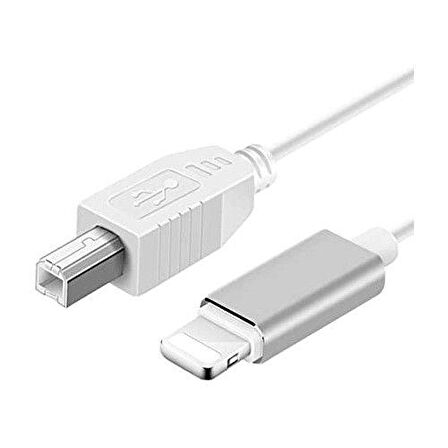 Daytona ADS-501 3ın1 USB B To Micro-Lightning-Type-C Telefon Bilgisayar Tablet Için Piyano Mıdı Org Elektrikli Piyano Konnektörü Çevirici Otg Kablo