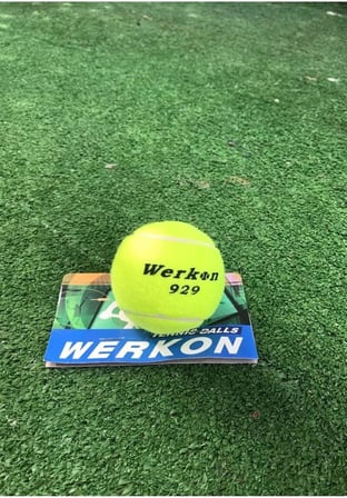 1 Adet Antrenman Tenis Topu Sarı, Tek Ebat, WRKNSR01T, SARI