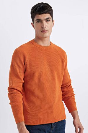 DeFacto Standart Fit Normal Kesim Bisiklet Yaka Basic Düz Triko Kazak A8458AX24SPOG343