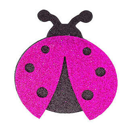 UĞUR BÖCEĞİ EVA SİMLİ 5.5X7 CM PEMBE 25 ADET