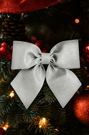 25×25 cm Gümüş Simli Eva Fiyonk – Büyük Boy Yılbaşı Ağaç ve Dekor Süsleme Modeli