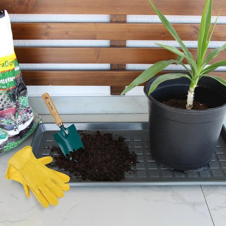 3 'lü Çok Amaçlı Ayakkabı Tepsisi