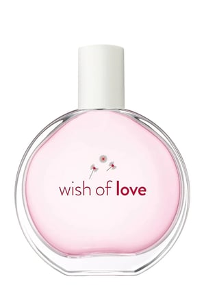 Full Speed Erkek Parfüm 75 Ml Ve Wish Of Love Edt 50 Ml Kadın Parfüm Paketi
