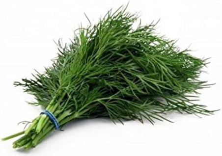 Dereotu (Anethum graveolens) Tohumu – 500+ Tohum – Ev, Balkon ve Bahçe Yetiştiriciliğine Uygun