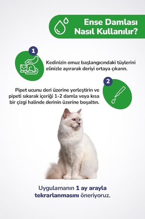 Kediler İcin Dis Parazit Pire Bit Kene Deri Bakimi İcin Bitkisel Ense Deri Damla 5X1 Ml