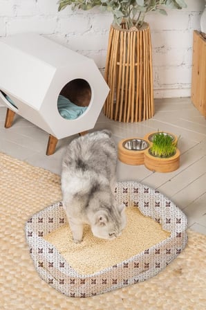 6 Rulo Kedi Kumu Torbası, 85x50cm Boyutunda, 7' li 6 Rulo