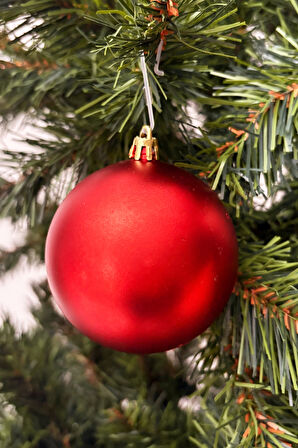 Waldern Yılbaşı Çam Ağacı Süsü Mat 6 Cm 6lı Cicitop