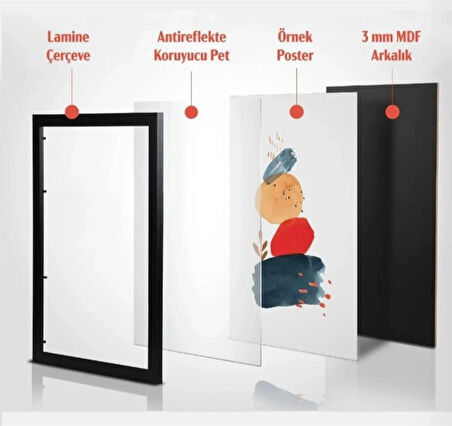 30x42 cm Kaka Leite Forma Tasarımlı Poster Çerçeveli Tablo 1 mm Şeffaf PVC Korumalı