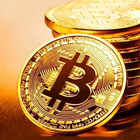 Bitcoin Madeni Hatıra Parası Madeni Bitcoin Hediye Sikke Para (4172)