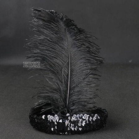 Yılbaşı Saç Tüyü Saç Bandı Siyah Renk TdrTR