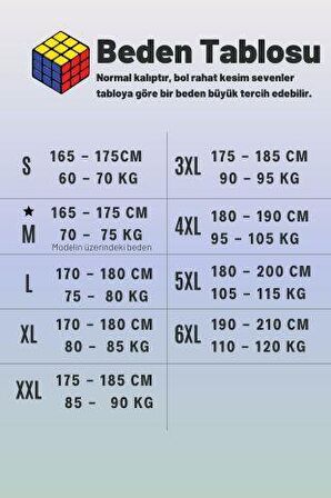 Gri Çapa Baskılı Kısa Kollu V Yaka Erkek Tişört 22ETSHVCPA