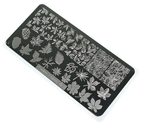 Nail Art Stamping Baskı Plakası VV27