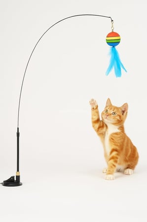 Vakumlu Tüylü Kedi Oltası Çıkarılabilir Çıngıraklı İnteraktif ve Eğlenceli Kedi Oyuncağı Eller Serbest Oyun Çubuğu Yavru ve Yetişkin Kediler İçin