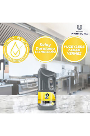 Professional Çok Amaçlı Krem Temizleyici 1,9 Lt 3adet