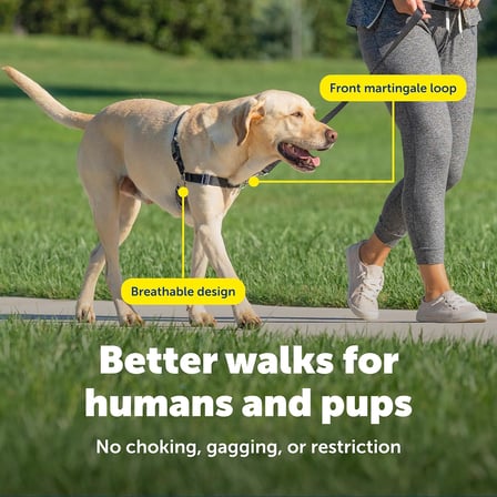 Easy Walk No-Pull Köpek Göğüs Tasması, Çekmeyi Önlemeye Yardımcı, Kontrolü Ele Alın ve Tasmayla Daha İyi Yürümeyi Öğretin, Evcil Hayvanların Yürürken Çekmesini Önlemeye Yardımcı