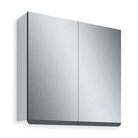 Teta Home Meksika 65 cm Mdf Banyo Aynalı Üst Dolap