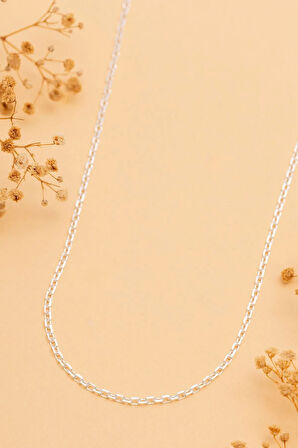 Kadın Gümüş Kolye - 2.5mm Forse Model 925 Ayar kadın Gümüş Kolye Zincir