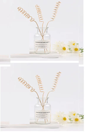 3 Tek Adet 3 Model Aromaterapi Koku Dağıtıcı Rattan Şişe Ahşap Difüzör Çubuk (spiral-yaprak-dalgalı)