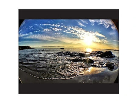 Balık Gözü Cep Telefonu Lensi (tüm Modellere Uyumlu)