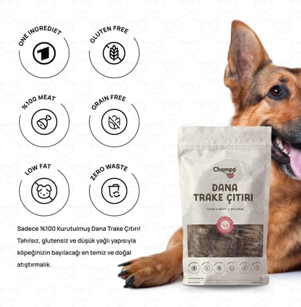 Dana Trake Çıtırı  Katkısız Köpek Ödül Maması 100 Gr
