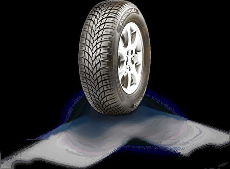 195/55R16 87H SNOWAYS 4