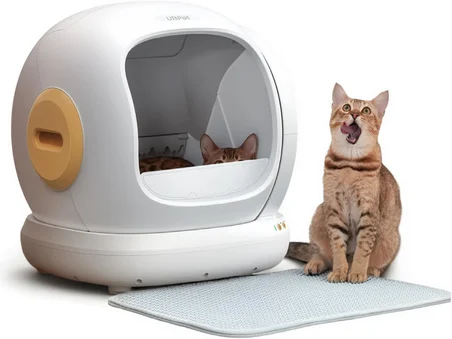 Elekli ve Hazneli Kedi Kumu Paspası 54*45 cm – Çift Katmanlı Petek Yapısıyla Kumu Süzer, Kaydırmaz Alt Yüzey, Sabitlenebilen Özel Tasarım, Patileri Rahatça Temizler, Hijyenik, Kolay Yıkanabilir