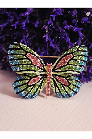 Gökkuşağı Kanadı Kelebek Broş