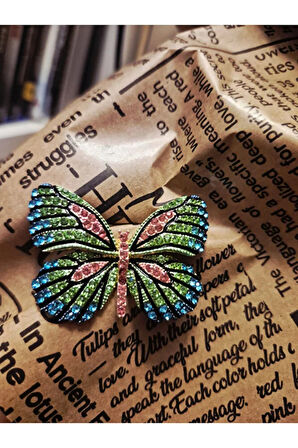 Gökkuşağı Kanadı Kelebek Broş
