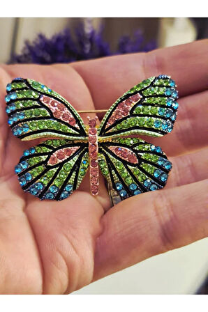 Gökkuşağı Kanadı Kelebek Broş