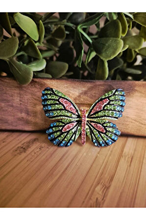 Gökkuşağı Kanadı Kelebek Broş