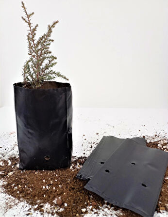 Fide Poşeti 11x22 CM 10 ADET Fide Torbası Fidan Poşeti