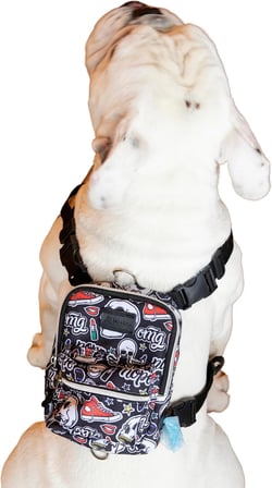 Design, Köpek Sırt Çantası – Su Geçirmez, Göğüs Tasması Fonksiyonlu, Ayarlanabilir, Skull Çantalı Göğüs Tasması Large